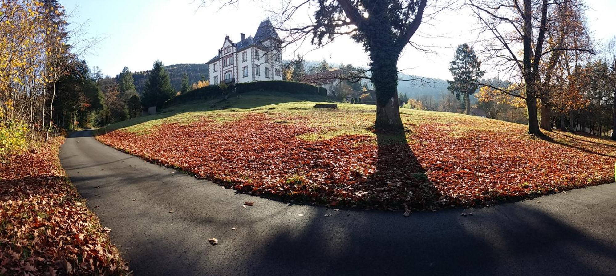 Chateau Robert Raon-l'Etape Exterior photo