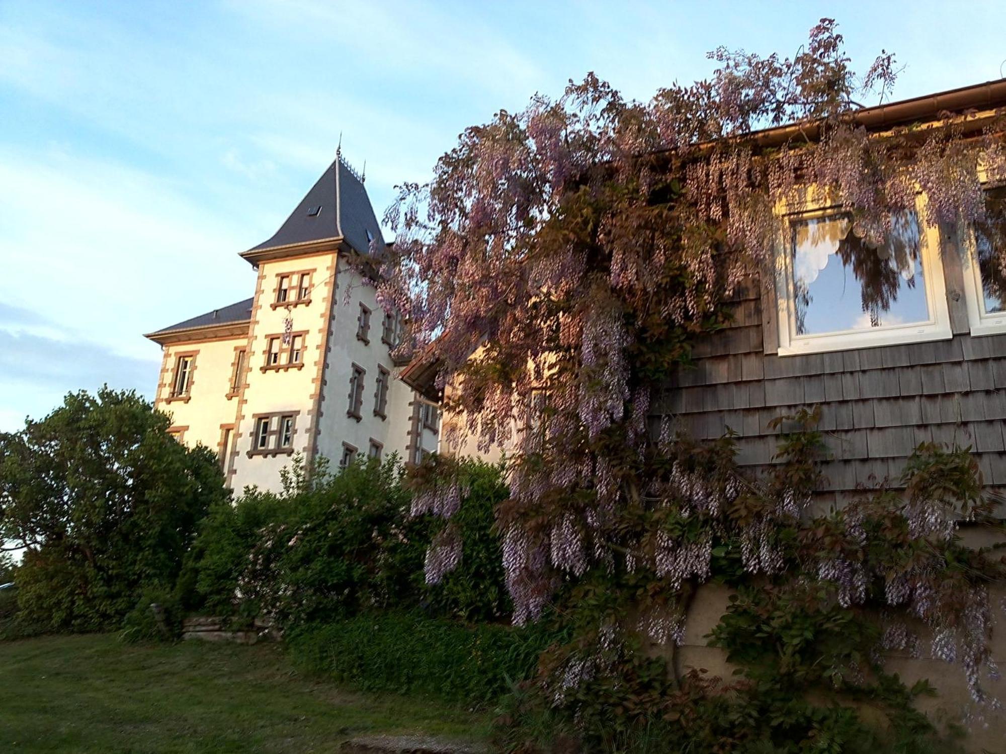 Chateau Robert Raon-l'Etape Exterior photo